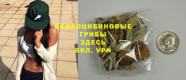 мдпв Магас