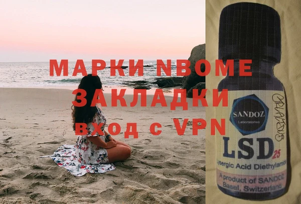 шишки Белокуриха
