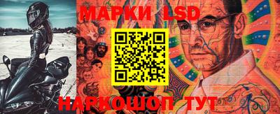 кокс Донской