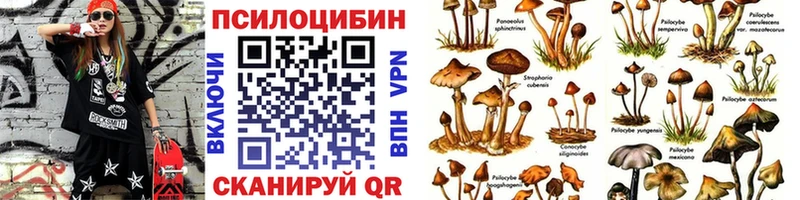 наркошоп  OMG сайт  Псилоцибиновые грибы MAGIC MUSHROOMS  Новочеркасск 