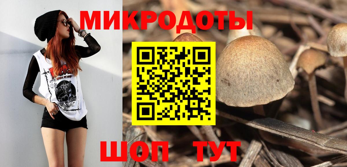 Псилоцибиновые грибы мицелий Новочеркасск
