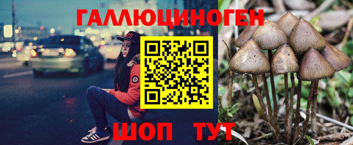 Псилоцибиновые грибы GOLDEN TEACHER  Псилоцибиновые грибы MAGIC MUSHROOMS  Вход с VPN  Новочеркасск 